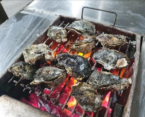 剪頭髮風水 大鵬灣仁鵬遊湖